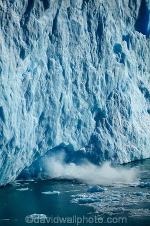 Argentina;Argentine-Patagonia;Argentine-Republic;Argentino-Lake;break;breaking;calving;Canal-de-los-Tempanos;cold;crash;glacial-calving;Glaciar-Perito-Moreno;glacier;glacier-face;Glacier-National-Park;glacier-terminal-face;glacier-terminus;glaciers;ice;iceberg;Iceberg-Channel;icebergs;icefield;icefields;icy;Lago-Argentino;Latin-America;Los-Glaciares;Los-Glaciares-N.P.;Los-Glaciares-National-Park;Los-Glaciares-NP;national-park;national-parks;NP;park;parks;Parque-Nacional-Los-Glaciares;Patagonia;Patagonian;Peninsula-Magellanes;Perito-Moreno;Perito-Moreno-Glacier;Santa-Cruz-Province;South-America;South-Argentina;Southern-Argentina;splash;splashing;Sth-America;terminal-face;terminus;travel;UN-world-heritage-area;UN-world-heritage-site;UNESCO-World-Heritage-area;UNESCO-World-Heritage-Site;united-nations-world-heritage-area;united-nations-world-heritage-site;world-heritage;world-heritage-area;world-heritage-areas;World-Heritage-Park;World-Heritage-site;World-Heritage-Sites