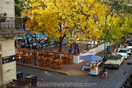 al-fresco;alfresco;Argentina;Argentine-Republic;autuminal;autumn;autumn-colour;autumn-colours;autumnal;B.A.;BA;Buenos-Aires;cafes;cobble_stoned;cobble_stoned-street;cobbled;cobbles;cobblestoned;cobblestoned-road;cobblestoned-roads;cobblestoned-street;cobblestoned-streets;cobblestones;color;colors;colour;colours;deciduous;Dorrego-Square;fall;gold;golden;Latin-America;leaf;leaves;Plaza-Dorrego;road;roads;San-Telmo;San-Telmo-barrio;season;seasonal;seasons;South-America;Sth-America;street;streets;tree;trees;yellow