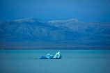 Argentina;Argentine-Patagonia;Argentine-Republic;cold;Glacier-National-Park;ice;iceberg;Lago-Viedma;Lake-Viedma;Latin-America;Los-Glaciares;Los-Glaciares-N.P.;Los-Glaciares-National-Park;Los-Glaciares-NP;national-park;national-parks;NP;park;parks;Parque-Nacional-Los-Glaciares;Patagonia;Patagonian;Santa-Cruz-Province;South-America;South-Argentina;Southern-Argentina;Sth-America;UN-world-heritage-area;UN-world-heritage-site;UNESCO-World-Heritage-area;UNESCO-World-Heritage-Site;united-nations-world-heritage-area;united-nations-world-heritage-site;Viedma-Lake;world-heritage;world-heritage-area;world-heritage-areas;World-Heritage-Park;World-Heritage-site;World-Heritage-Sites