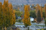 Argentina;Argentine-Patagonia;Argentine-Republic;autuminal;autumn;autumn-colour;autumn-colours;autumnal;color;colors;colour;colours;deciduous;El-Calafate;fall;gold;golden;Latin-America;leaf;leaves;Patagonia;Patagonian;poplar;poplar-tree;poplar-trees;poplars;Santa-Cruz-Province;season;seasonal;seasons;South-America;South-Argentina;Southern-Argentina;Sth-America;tree;trees;yellow