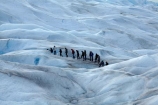 adventure-travel;Argentina;Argentine-Patagonia;Argentine-Republic;cold;Glaciar-Perito-Moreno;glacier;glacier-hiking;Glacier-National-Park;glacier-trekking;glaciers;Heilo-amp;-Aventura;Hielo-and-Aventura;hiker;hikers;ice;ice-hiking;ice-trekking;icefield;icefields;icy;Latin-America;Los-Glaciares;Los-Glaciares-N.P.;Los-Glaciares-National-Park;Los-Glaciares-NP;national-park;national-parks;NP;park;parks;Parque-Nacional-Los-Glaciares;Patagonia;Patagonian;people;Perito-Moreno;Perito-Moreno-Glacier;person;Santa-Cruz-Province;South-America;South-Argentina;Southern-Argentina;Sth-America;tourism;tourist;tourists;travel;trekker;trekkers;UN-world-heritage-area;UN-world-heritage-site;UNESCO-World-Heritage-area;UNESCO-World-Heritage-Site;united-nations-world-heritage-area;united-nations-world-heritage-site;walker;walkers;world-heritage;world-heritage-area;world-heritage-areas;World-Heritage-Park;World-Heritage-site;World-Heritage-Sites