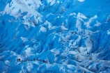 Argentina;Argentine-Patagonia;Argentine-Republic;blue-ice;cold;crevasse;crevasses;Glaciar-Perito-Moreno;glacier;glacier-hiking;Glacier-National-Park;glacier-trekking;glaciers;Heilo-amp;-Aventura;Hielo-and-Aventura;hiker;hikers;ice;ice-hiking;ice-trekking;icefield;icefields;icy;Latin-America;Los-Glaciares;Los-Glaciares-N.P.;Los-Glaciares-National-Park;Los-Glaciares-NP;national-park;national-parks;NP;park;parks;Parque-Nacional-Los-Glaciares;Patagonia;Patagonian;people;Perito-Moreno;Perito-Moreno-Glacier;person;Santa-Cruz-Province;South-America;South-Argentina;Southern-Argentina;Sth-America;tourism;tourist;tourists;travel;trekker;trekkers;UN-world-heritage-area;UN-world-heritage-site;UNESCO-World-Heritage-area;UNESCO-World-Heritage-Site;united-nations-world-heritage-area;united-nations-world-heritage-site;walker;walkers;world-heritage;world-heritage-area;world-heritage-areas;World-Heritage-Park;World-Heritage-site;World-Heritage-Sites