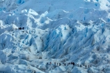 adventure-travel;Argentina;Argentine-Patagonia;Argentine-Republic;blue-ice;cold;crevasse;crevasses;Glaciar-Perito-Moreno;glacier;glacier-hiking;Glacier-National-Park;glacier-trekking;glaciers;Heilo-amp;-Aventura;Hielo-and-Aventura;hiker;hikers;ice;ice-hiking;ice-trekking;icefield;icefields;icy;Latin-America;Los-Glaciares;Los-Glaciares-N.P.;Los-Glaciares-National-Park;Los-Glaciares-NP;national-park;national-parks;NP;park;parks;Parque-Nacional-Los-Glaciares;Patagonia;Patagonian;people;Perito-Moreno;Perito-Moreno-Glacier;person;Santa-Cruz-Province;South-America;South-Argentina;Southern-Argentina;Sth-America;tourism;tourist;tourists;travel;trekker;trekkers;UN-world-heritage-area;UN-world-heritage-site;UNESCO-World-Heritage-area;UNESCO-World-Heritage-Site;united-nations-world-heritage-area;united-nations-world-heritage-site;walker;walkers;world-heritage;world-heritage-area;world-heritage-areas;World-Heritage-Park;World-Heritage-site;World-Heritage-Sites