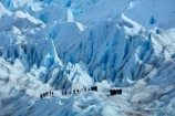 adventure-travel;Argentina;Argentine-Patagonia;Argentine-Republic;cold;crevasse;crevasses;Glaciar-Perito-Moreno;glacier;glacier-hiking;Glacier-National-Park;glacier-trekking;glaciers;Heilo-amp;-Aventura;Hielo-and-Aventura;hiker;hikers;ice;ice-hiking;ice-trekking;icefield;icefields;icy;Latin-America;Los-Glaciares;Los-Glaciares-N.P.;Los-Glaciares-National-Park;Los-Glaciares-NP;national-park;national-parks;NP;park;parks;Parque-Nacional-Los-Glaciares;Patagonia;Patagonian;people;Perito-Moreno;Perito-Moreno-Glacier;person;Santa-Cruz-Province;South-America;South-Argentina;Southern-Argentina;Sth-America;tourism;tourist;tourists;travel;trekker;trekkers;UN-world-heritage-area;UN-world-heritage-site;UNESCO-World-Heritage-area;UNESCO-World-Heritage-Site;united-nations-world-heritage-area;united-nations-world-heritage-site;walker;walkers;world-heritage;world-heritage-area;world-heritage-areas;World-Heritage-Park;World-Heritage-site;World-Heritage-Sites