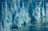 Argentina;Argentine-Patagonia;Argentine-Republic;Argentino-Lake;blue-ice;Canal-de-los-Tempanos;cold;Glaciar-Perito-Moreno;glacier;glacier-face;Glacier-National-Park;glacier-terminal-face;glacier-terminus;glaciers;ice;Iceberg-Channel;icefield;icefields;icy;Lago-Argentino;Latin-America;Los-Glaciares;Los-Glaciares-N.P.;Los-Glaciares-National-Park;Los-Glaciares-NP;national-park;national-parks;NP;park;parks;Parque-Nacional-Los-Glaciares;Patagonia;Patagonian;Peninsula-Magellanes;Perito-Moreno;Perito-Moreno-Glacier;Santa-Cruz-Province;South-America;South-Argentina;Southern-Argentina;Sth-America;terminal-face;terminus;travel;UN-world-heritage-area;UN-world-heritage-site;UNESCO-World-Heritage-area;UNESCO-World-Heritage-Site;united-nations-world-heritage-area;united-nations-world-heritage-site;world-heritage;world-heritage-area;world-heritage-areas;World-Heritage-Park;World-Heritage-site;World-Heritage-Sites