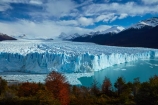 Argentina;Argentine-Patagonia;Argentine-Republic;Argentino-Lake;autuminal;autumn;autumn-colour;autumn-colours;autumnal;beech;beech-tree;beech-trees;beeches;boardwalk;boardwalks;Canal-de-los-Tempanos;cold;color;colors;colour;colours;crevasse;crevasses;deciduous;fall;Glaciar-Perito-Moreno;glacier;glacier-face;Glacier-National-Park;glacier-terminal-face;glacier-terminus;glaciers;gold;golden;ice;Iceberg-Channel;icefield;icefields;icy;Lago-Argentino;Latin-America;leaf;leaves;lenga;lenga-beech;lengas;lookout;lookouts;Los-Glaciares;Los-Glaciares-N.P.;Los-Glaciares-National-Park;Los-Glaciares-NP;Magellanes-Peninsula;national-park;national-parks;Northofagus;Northofagus-pumilio;NP;orange;park;parks;Parque-Nacional-Los-Glaciares;Patagonia;Patagonian;Peninsula-Magellanes;people;Perito-Moreno;Perito-Moreno-Glacier;person;Santa-Cruz-Province;season;seasonal;seasons;South-America;South-Argentina;Southern-Argentina;southern-beech;southern-beeches;Sth-America;terminal-face;terminus;tourism;tourist;tourists;travel;tree;trees;UN-world-heritage-area;UN-world-heritage-site;UNESCO-World-Heritage-area;UNESCO-World-Heritage-Site;united-nations-world-heritage-area;united-nations-world-heritage-site;viewing-platform;viewing-platforms;walkway;walkways;world-heritage;world-heritage-area;world-heritage-areas;World-Heritage-Park;World-Heritage-site;World-Heritage-Sites;yellow