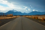 Argentina;Argentine-Patagonia;Argentine-Republic;autuminal;autumn;autumn-colour;autumn-colours;autumnal;color;colors;colour;colours;deciduous;driving;El-Calafate;fall;gold;golden;highway;highways;Latin-America;leaf;leaves;open-road;open-roads;Patagonia;Patagonian;Patagonian-steppe;road;road-trip;roads;Santa-Cruz-Province;season;seasonal;seasons;South-America;South-Argentina;Southern-Argentina;Sth-America;transport;transportation;travel;traveling;travelling;tree;trees;trip;yellow