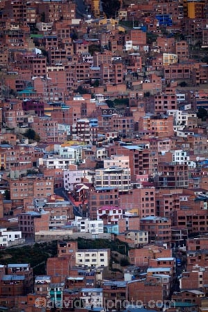 apartment;apartments;Bolivia;brick;brick-house;brick-houses;capital;Capital-of-Bolivia;Chuqi-Yapu;cities;city;high-density-housing;house;houses;housing;La-Paz;Latin-America;Nuestra-SeÃ±ora-de-La-Paz;red-brick;red-brick-houses;residence;residences;South-America;steep;steep-hill;steep-hills;steep-hillside;steep-hillsides;Sth-America;terracotta;The-Americas