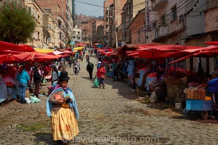 Aymara;Bolivia;Bolivian;Bolivians;capital;Capital-of-Bolivia;Cholita;cholita-pacenas;Cholitas;Chuqi-Yapu;cities;city;cobble-stone-streets;cobble_stoned;cobblestone;cobblestoned;cobblestones;colorful;colour;colourful;commerce;commercial;crowd;crowded;farmer-market;farmer-markets;farmers-market;farmers-markets;farmers-market;farmers-markets;female;food;food-market;food-markets;food-stall;food-stalls;fruit-market;fruit-markets;indigenous;La-Paz;Latin-America;market;market-day;market-days;market-place;market_place;marketplace;markets;Mercardo-Rodriguez;Nuestra-SeÃ±ora-de-La-Paz;pedestrians;people;person;produce;produce-market;produce-markets;product;products;retail;retailer;retailers;Rodriguez-Market;shop;shopper;shoppers;shopping;shops;South-America;stall;stalls;steet-scene;Sth-America;street-scenes;The-Americas;woman;women