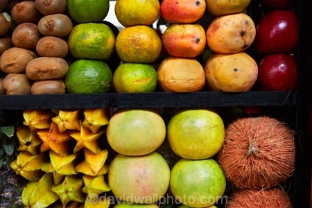 Bolivia;capital;Capital-of-Bolivia;Carambola;Chuqi-Yapu;coconut;coconuts;colorful;colour;colourful;commerce;commercial;exotic-fruit;farmer-market;farmer-markets;farmers-market;farmers-markets;farmers-market;farmers-markets;food;food-market;food-markets;food-stall;food-stalls;fruit;fruit-and-vegetables;fruit-juce-stalls;fruit-juice-stall;fruit-market;fruit-markets;fruit-stall;healthy-food;kiwi;kiwifruit;kiwis;La-Paz;Lanza-Market;Latin-America;mango;mangoes;market;market-place;market_place;marketplace;markets;melon;melons;Mercado-Lanza;Nuestra-SeÃ±ora-de-La-Paz;orange;oranges;produce;produce-market;produce-markets;product;products;retail;retailer;retailers;shop;shopping;shops;South-America;stall;stalls;Star-Fruit;steet-scene;Sth-America;street-scenes;The-Americas
