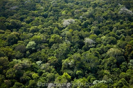 aerial;aerial-image;aerial-images;aerial-photo;aerial-photograph;aerial-photographs;aerial-photography;aerial-photos;aerial-view;aerial-views;aerials;Brasil;Brazil;Cataratas-del-IguazÃº;environment;forest;forests;green;Iguacu-Falls;Iguassu-Falls;Iguazu-Falls;IguazÃº-Falls;IguaÃ§u-Falls;Latin-America;lush;national-park;national-parks;Parana-State;ParanÃ¡;ParanÃ¡-State;rain-forest;rain-forests;rain_forest;rain_forests;rainforest;rainforests;South-America;Sth-America;The-Iguazu-Falls;tree;trees