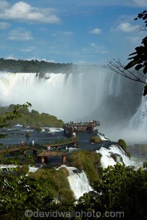 Argentina;border;borders;Brasil;Brazil;cascade;cascades;Cataratas-del-Iguazú;Devils-Throat;Devils-Throat;fall;falls;Garganta-do-Diabo;Gargantua-del-Diablo;Iguacu-Falls;Iguacu-National-Park;Iguacu-River;Iguassu-Falls;Iguassu-National-Park;Iguazu-Falls;Iguazu-National-Park;Iguazu-River;Iguazú-Falls;Iguazú-National-Park;Iguaçu-Falls;Iguaçu-National-Park;Latin-America;Misiones;Misiones-Province;mist;mists;misty;national-park;national-parks;natural;nature;Parana;Parana-State;Paraná;Paraná-State;people;platform;platforms;scene;scenic;South-America;spray;Sth-America;The-Iguazu-Falls;tourism;tourist;tourists;travel;UN-world-heritage-area;UN-world-heritage-site;UNESCO-World-Heritage-area;UNESCO-World-Heritage-Site;united-nations-world-heritage-area;united-nations-world-heritage-site;viewing-platform;viewing-platforms;walkway;walkways;water;water-fall;water-falls;waterfall;waterfalls;wet;world-heritage;world-heritage-area;world-heritage-areas;World-Heritage-Park;World-Heritage-site;World-Heritage-Sites
