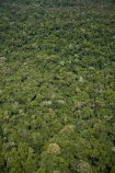 aerial;aerial-image;aerial-images;aerial-photo;aerial-photograph;aerial-photographs;aerial-photography;aerial-photos;aerial-view;aerial-views;aerials;Brasil;Brazil;Cataratas-del-IguazÃº;environment;forest;forests;green;Iguacu-Falls;Iguassu-Falls;Iguazu-Falls;IguazÃº-Falls;IguaÃ§u-Falls;Latin-America;lush;national-park;national-parks;Parana-State;ParanÃ¡;ParanÃ¡-State;rain-forest;rain-forests;rain_forest;rain_forests;rainforest;rainforests;South-America;Sth-America;The-Iguazu-Falls;tree;trees