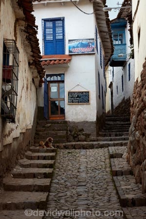 alley;alleys;alleyway;alleyways;building;buildings;Calle-Ccoricalle;cobble_stoned;cobble_stoned-street;cobbled;cobbles;cobblestoned;cobblestoned-road;cobblestoned-roads;cobblestoned-street;cobblestoned-streets;cobblestones;Cusco;Cuzco;heritage;historic;historic-building;historic-buildings;historical;historical-building;historical-buildings;history;Latin-America;narrow-street;narrow-streets;old;Peru;Republic-of-Peru;road;roads;South-America;stair;stairs;stairway;stairways;steep;steep-street;steep-streets;step;steps;Sth-America;street;streets;tradition;traditional;UN-world-heritage-area;UN-world-heritage-site;UNESCO-World-Heritage-area;UNESCO-World-Heritage-Site;united-nations-world-heritage-area;united-nations-world-heritage-site;world-heritage;world-heritage-area;world-heritage-areas;World-Heritage-Park;World-Heritage-site;World-Heritage-Sites