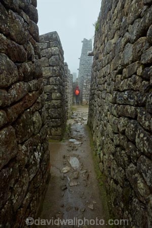 alley;alleys;alleyway;alleyways;ancient;ancient-culture;archaeology;attraction;block;blocks;building;buildings;Camino-Inca;Camino-Inka;corridor;corridors;Cusco-Region;destination;heritage;historic;historic-building;historic-buildings;historical;historical-building;historical-buildings;history;Inca;Inca-Citadel;Inca-City;Inca-masonry;Inca-Ruins;Inca-site;inca-stone-wall;Inca-Stonework;Inca-Trail;Inka;Latin-America;lost-city;Machu-Picchu;Machu-Pichu;Machupicchu-District;masonry;model-release;model-released;MR;old;people;person;Peru;rain;raining;rainy;Republic-of-Peru;rock-wall;ruin;ruins;Sacred-Valley;Sacred-Valley-of-the-Incas;South-America;Sth-America;stone-block;stone-blocks;stone-masonry;stone-wall;stone-walls;tourism;tourist;tourist-attraction;tourist-site;tourist-sites;tourists;tradition;traditional;UN-world-heritage-area;UN-world-heritage-site;UNESCO-World-Heritage-area;UNESCO-World-Heritage-Site;united-nations-world-heritage-area;united-nations-world-heritage-site;Urubamba-Province;Urubamba-Valley;visitors;wet;world-heritage;world-heritage-area;world-heritage-areas;World-Heritage-Park;World-Heritage-site;World-Heritage-Sites
