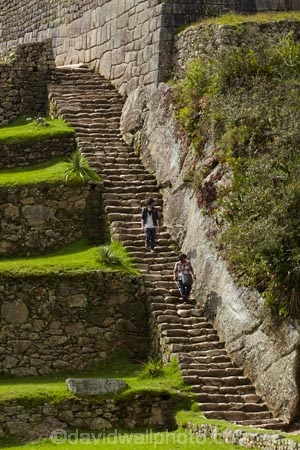 agricultural-terraces;ancient;ancient-culture;archaeology;attraction;building;buildings;Camino-Inca;Camino-Inka;crop-terraces;cultivation-terraces;Cusco-Region;destination;growing-terraces;heritage;historic;historic-building;historic-buildings;historical;historical-building;historical-buildings;history;horticultural-terraces;Inca;Inca-Citadel;Inca-City;Inca-Ruins;Inca-Trail;Inka;Latin-America;lost-city;Machu-Picchu;Machu-Pichu;Machupicchu-District;main-stairway;old;people;person;Peru;Republic-of-Peru;retaining-wall;retaining-walls;ruin;ruins;Sacred-Valley;Sacred-Valley-of-the-Incas;South-America;stair;stairs;stairway;stairways;step;steps;Sth-America;stone-steps;terrace;terraced;terraces;terracing;tourism;tourist;tourist-attraction;tourist-site;tourist-sites;tourists;tradition;traditional;UN-world-heritage-area;UN-world-heritage-site;UNESCO-World-Heritage-area;UNESCO-World-Heritage-Site;united-nations-world-heritage-area;united-nations-world-heritage-site;Urubamba-Province;Urubamba-Valley;visitors;world-heritage;world-heritage-area;world-heritage-areas;World-Heritage-Park;World-Heritage-site;World-Heritage-Sites