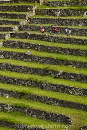 agricultural-terraces;ancient;ancient-culture;archaeology;attraction;building;buildings;Camino-Inca;Camino-Inka;central-terraces;crop-terraces;cultivation-terraces;Cusco-Region;destination;geometric;growing-terraces;heritage;historic;historic-building;historic-buildings;historical;historical-building;historical-buildings;history;horticultural-terraces;Inca;Inca-Citadel;Inca-City;Inca-Ruins;Inca-Trail;Inka;Latin-America;lost-city;Lower-agricultural-sector;Machu-Picchu;Machu-Pichu;Machupicchu-District;old;pattern;patterns;people;person;Peru;Republic-of-Peru;retaining-wall;retaining-walls;ruin;ruins;Sacred-Valley;Sacred-Valley-of-the-Incas;South-America;stepped;Sth-America;terrace;terraced;terraces;terracing;tourism;tourist;tourist-attraction;tourist-site;tourist-sites;tourists;tradition;traditional;UN-world-heritage-area;UN-world-heritage-site;UNESCO-World-Heritage-area;UNESCO-World-Heritage-Site;united-nations-world-heritage-area;united-nations-world-heritage-site;Urubamba-Province;Urubamba-Valley;visitors;world-heritage;world-heritage-area;world-heritage-areas;World-Heritage-Park;World-Heritage-site;World-Heritage-Sites