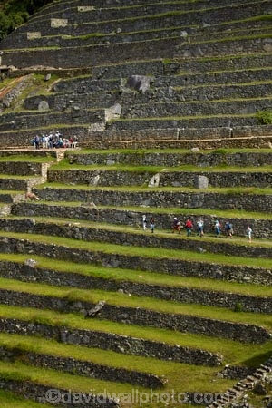 agricultural-terraces;ancient;ancient-culture;archaeology;attraction;building;buildings;Camino-Inca;Camino-Inka;central-terraces;crop-terraces;cultivation-terraces;Cusco-Region;destination;geometric;growing-terraces;heritage;historic;historic-building;historic-buildings;historical;historical-building;historical-buildings;history;horticultural-terraces;Inca;Inca-Citadel;Inca-City;Inca-Ruins;Inca-Trail;Inka;Latin-America;lost-city;Lower-agricultural-sector;Machu-Picchu;Machu-Pichu;Machupicchu-District;old;pattern;patterns;people;person;Peru;Republic-of-Peru;retaining-wall;retaining-walls;ruin;ruins;Sacred-Valley;Sacred-Valley-of-the-Incas;South-America;stepped;Sth-America;terrace;terraced;terraces;terracing;tourism;tourist;tourist-attraction;tourist-site;tourist-sites;tourists;tradition;traditional;travel;UN-world-heritage-area;UN-world-heritage-site;UNESCO-World-Heritage-area;UNESCO-World-Heritage-Site;united-nations-world-heritage-area;united-nations-world-heritage-site;Urubamba-Province;Urubamba-Valley;visitors;world-heritage;world-heritage-area;world-heritage-areas;World-Heritage-Park;World-Heritage-site;World-Heritage-Sites