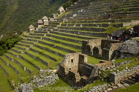 agricultural-terraces;ancient;ancient-culture;archaeology;attraction;building;buildings;Camino-Inca;Camino-Inka;central-terraces;crop-terraces;cultivation-terraces;Cusco-Region;destination;geometric;growing-terraces;heritage;historic;historic-building;historic-buildings;historical;historical-building;historical-buildings;history;horticultural-terraces;Inca;Inca-Citadel;Inca-City;Inca-Ruins;Inca-Trail;Inka;Latin-America;lost-city;Lower-agricultural-sector;Machu-Picchu;Machu-Pichu;Machupicchu-District;old;pattern;patterns;people;person;Peru;Republic-of-Peru;retaining-wall;retaining-walls;ruin;ruins;Sacred-Valley;Sacred-Valley-of-the-Incas;seven-wonders;seven-wonders-of-the-world;South-America;stepped;Sth-America;terrace;terraced;terraces;terracing;tourism;tourist;tourist-attraction;tourist-site;tourist-sites;tourists;tradition;traditional;travel;UN-world-heritage-area;UN-world-heritage-site;UNESCO-World-Heritage-area;UNESCO-World-Heritage-Site;united-nations-world-heritage-area;united-nations-world-heritage-site;Urubamba-Province;Urubamba-Valley;visitors;wonders-of-the-world;world-heritage;world-heritage-area;world-heritage-areas;World-Heritage-Park;World-Heritage-site;World-Heritage-Sites