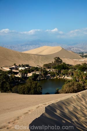 desert;deserts;dune;dunes;Huacachina;Huacachina-Desert;Huacachina-Lagoon;Huacachina-Lake;Huacachina-Oasis;Ica;Ica-Desert;Ica-Region;lagoon;lagoons;Laguna-de-Huacachina;Laguna-Huacachina;lake;Lake-Huacachina;lakes;Latin-America;oasis;palm-trees;Peru;Peruvian-Desert;Republic-of-Peru;sand;sand-dune;sand-dunes;sand-hill;sand-hills;sand_dune;sand_dunes;sand_hill;sand_hills;sanddune;sanddunes;sandhill;sandhills;sandy;South-America;Sth-America;tourism;travel