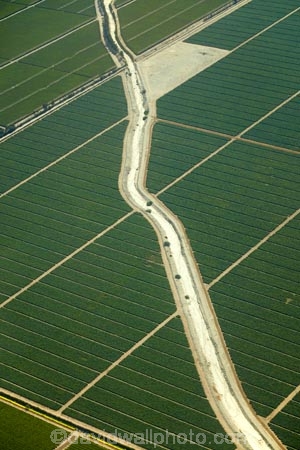 aerial;aerial-image;aerial-images;aerial-photo;aerial-photograph;aerial-photographs;aerial-photography;aerial-photos;aerial-view;aerial-views;aerials;agricultural;agriculture;arid;barren;country;countryside;crop;crops;desert;deserts;dry;farm;farming;farmland;farms;field;fields;green;horticulture;Ica;Ica-Region;Latin-America;Peru;Peruvian-Desert;plantation;plantations;Republic-of-Peru;rural;South-America;Sth-America;vineyard;vineyards