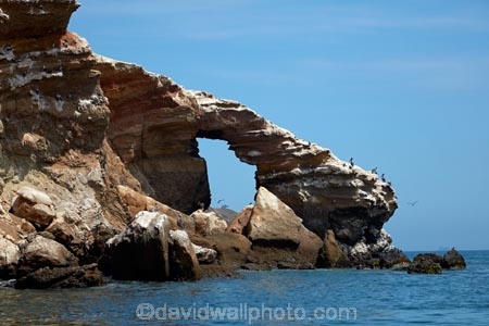 Ballestas-Islands;Ballestas-Islands-Tour;coast;coastal;coastline;coastlines;coasts;Ica-Region;Islas-Ballestas;Latin-America;natural-arch;natural-arches;natural-rock-arch;natural-rock-arches;ocean;oceans;Pacific-Ocean;Paracas;Paracas-Disctrict;Paracas-National-Reserve;Paracas-Peninsula;pelican;pelicans;Peru;Pisco-Province;Republic-of-Peru;reserve;reserves;rock-arch;rock-arches;rock-formation;rock-formations;sea;sea-arch;sea-arches;sea-bird;sea-birds;seas;shore;shoreline;shorelines;shores;South-America;Sth-America;water