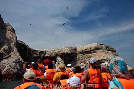 Ballestas;Ballestas-Is;Ballestas-Islands;Ballestas-Islands-archipelago;Ballestas-Islands-National-Reserve;Ballestas-Islands-Tour;boat;boats;coast;coastal;coastline;coastlines;coasts;Ica-Region;Islas-Ballestas;Latin-America;ocean;oceans;Ostrero;Pacific-Ocean;Paracas-Disctrict;Peru;Pisco-Province;Republic-of-Peru;Reserva-National-Islas-Ballestas;reserves;sea;seas;shore;shoreline;shorelines;shores;South-America;Sth-America;water;wildlife-reserve