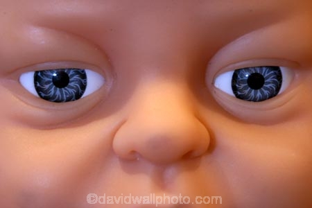 eye;eyes;eyeball;eyeballs;eyelash;eyelashes;eyelid;eyelids;iris;cornea;pupil;pupils;socket;vision;sight;senses;sense;watch;watching;look;looking;looks;watches;closeup;close_up;close-up;closeups;close_ups;close-ups;detail;details;skin;baby;babies;doll;dolls;dolly;plastic;toy;toys;blue;nose-noses;face;faces;head;heads;beauty