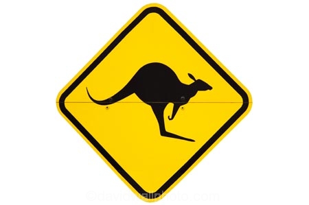australasia;australia;australian;kangaroo;Kangaroo-Warning-Sign;kangaroos;nature;Road;road-sign;road-signs;road_sign;road_signs;roads;roadsign;roadsigns;sign;signs;symbol;symbols;tranportation;transport;travel;warn;warning;wildlife;yellow-black;cutout