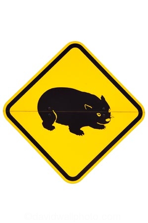 australasia;australia;australian;wombat;waombat-Warning-Sign;nature;Road;road-sign;road-signs;road_sign;road_signs;roads;roadsign;roadsigns;sign;signs;symbol;symbols;tranportation;transport;travel;warn;warning;wildlife;yellow-black;cutout