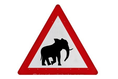 Africa;C35;Desert-Elephant;Desert-elephant-warning-sign;Desert-elephant-warning-signs;elephant-warning-sign;elephant-warning-signs;Namibia;road-sign;road-signs;road-warning-sign;road-warning-signs;sign;signs;warning-sign;warning-signs;wildlife-sign;wildlife-signs;cutout