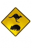 australasia;australia;australian;road-sign;warning;sign;koala;wombat;cutout;yellow
