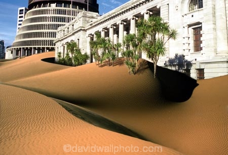 arid;barren;climate;climate-change;deserted;deserts;dry;dune;dunes;ecosystem;ecosystems;future;global-warming;heat;hot;ozone;ozone-layer;parched;ripple;ripples;sand;sand-dune;sand-dunes;sand_dune;sand_dunes;shadow;shadows;silence;texture;thirst