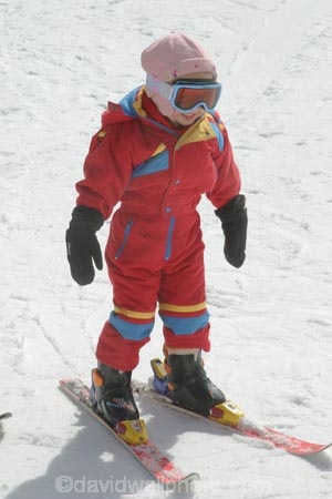 girls;girl;little;child;children;play;playing;playground;play_ground;play-ground;playgrounds;play_grounds;play-grounds;speed;down-hill;snow;snowy;snowing;winter;wintry;cold;freezing;outdoor;outdoors;outside;playtime;fun;childhood;happiness;happy;joy;kid;kids;daughter;daughters;primary-colours;colors;color;colour;red;one;single;ski;skiing;skier;skiers;skis;learn;learner