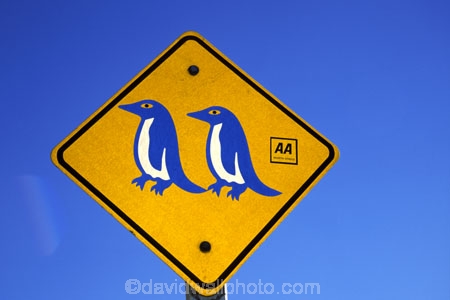 blue;color;colors;colour;colours;emblem;icon;icons;Kiwi-icon;Kiwi-icons;kiwiana;little-blue;logo;new-zealand;penguin;penguins;road-sign;symbol;symbols;transport;wild;wildlife;yellow