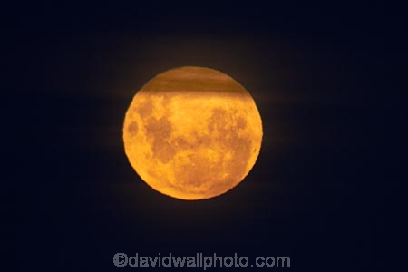 astronomy;dark;Dunedin;dusk;evening;full-moon;full-moons;lunar;lunar-perigee;moon;moon-surface;moonrise;moons;N.Z.;New-Zealand;night;night-time;night_time;NZ;Otago;S.I.;SI;South-Is;South-Is.;South-Island;space;star-gazing;Sth-Is;supermoon;yellow-moon;yellow-moons