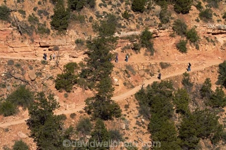 America;American-Southwest;Arizona;AZ;Bright-Angel-Track;Bright-Angel-Trail;Colorado-Plateau;Colorado-Plateau-Province;Gran-CaÃ±Ã³n;Grand-Canyon;Grand-Canyon-National-Park;Grand-Canyon-South-Rim;hiker;hikers;hiking-path;hiking-paths;hiking-track;hiking-tracks;hiking-trail;hiking-trails;Ongtupqa;path;paths;pathway;pathways;people;person;route;routes;South-Rim;South-Rim-Grand-Canyon;South-west-United-States;South-west-US;South-west-USA;South-western-United-States;South-western-US;South-western-USA;Southwest-United-States;Southwest-US;Southwest-USA;Southwestern-United-States;Southwestern-US;Southwestern-USA;States;Sth-Rim;The-Grand-Canyon;the-Southwest;tourism;tourist;tourists;track;tracks;trail;trails;tramping-track;tramping-tracks;tramping-trail;tramping-trails;U.S.A;UN-world-heritage-area;UN-world-heritage-site;UNESCO-World-Heritage-area;UNESCO-World-Heritage-Site;united-nations-world-heritage-area;united-nations-world-heritage-site;United-States;United-States-of-America;USA;walker;walkers;walking-path;walking-paths;walking-track;walking-tracks;walking-trail;walking-trails;walkway;walkways;Wi:kai:la;world-heritage;world-heritage-area;world-heritage-areas;World-Heritage-Park;World-Heritage-site;World-Heritage-Sites
