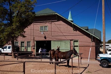 1904;America;American-Southwest;Arizona;ass;asses;AZ;building;buildings;El-Tovar-Stables;Gran-CaÃ±Ã³n;Grand-Canyon;Grand-Canyon-National-Park;Grand-Canyon-South-Rim;Grand-Canyon-Village;Grand-Canyon-Village-Historic-District;Grand-Canyon-Village-National-Historic-Landmark-District;heritage;historic;historic-building;historic-buildings;historical;historical-building;historical-buildings;history;horse;horses;mule;mules;National-Historic-Landmark.;old;Ongtupqa;South-Rim;South-Rim-Grand-Canyon;South-west-United-States;South-west-US;South-west-USA;South-western-United-States;South-western-US;South-western-USA;Southwest-United-States;Southwest-US;Southwest-USA;Southwestern-United-States;Southwestern-US;Southwestern-USA;stable;stables;States;Sth-Rim;The-Grand-Canyon;the-Southwest;tradition;traditional;U.S.A;UN-world-heritage-area;UN-world-heritage-site;UNESCO-World-Heritage-area;UNESCO-World-Heritage-Site;united-nations-world-heritage-area;united-nations-world-heritage-site;United-States;United-States-of-America;USA;Wi:kai:la;world-heritage;world-heritage-area;world-heritage-areas;World-Heritage-Park;World-Heritage-site;World-Heritage-Sites