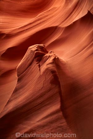 America;American-Southwest;Arizona;AZ;canyon;canyons;chasm;chasms;Colorado-Plateau;Colorado-Plateau-Province;eroded;erosion;geographic;geography;geological;geology;gorge;gorges;narrow-canyon;narrow-canyons;Navajo-Indian-Reservation;Navajo-Land;Navajo-Nation;Navajo-Reservation;Navajo-Sandstone;Page;Rattlesnake-Canyon;ravine;ravines;rock;rock-formation;rock-formations;rocks;Sandstone;slot-canyon;slot-canyons;South-west-United-States;South-west-US;South-west-USA;South-western-United-States;South-western-US;South-western-USA;Southwest-United-States;Southwest-US;Southwest-USA;Southwestern-United-States;Southwestern-US;Southwestern-USA;States;stone;the-Southwest;U.S.A;United-States;United-States-of-America;unusual-natural-feature;unusual-natural-features;USA;valley;valleys