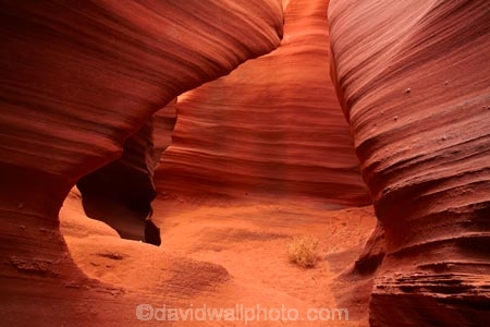 America;American-Southwest;Arizona;AZ;canyon;canyons;chasm;chasms;Colorado-Plateau;Colorado-Plateau-Province;curve;curves;eroded;erosion;geographic;geography;geological;geology;gorge;gorges;narrow-canyon;narrow-canyons;Navajo-Indian-Reservation;Navajo-Land;Navajo-Nation;Navajo-Reservation;Navajo-Sandstone;Page;Rattlesnake-Canyon;ravine;ravines;rock;rock-formation;rock-formations;rocks;Sandstone;slot-canyon;slot-canyons;South-west-United-States;South-west-US;South-west-USA;South-western-United-States;South-western-US;South-western-USA;Southwest-United-States;Southwest-US;Southwest-USA;Southwestern-United-States;Southwestern-US;Southwestern-USA;States;stone;the-Southwest;tumbleweed;tumbleweeds;U.S.A;United-States;United-States-of-America;unusual-natural-feature;unusual-natural-features;USA;valley;valleys