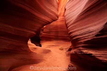 America;American-Southwest;Arizona;AZ;canyon;canyons;chasm;chasms;Colorado-Plateau;Colorado-Plateau-Province;curve;curves;eroded;erosion;geographic;geography;geological;geology;gorge;gorges;narrow-canyon;narrow-canyons;Navajo-Indian-Reservation;Navajo-Land;Navajo-Nation;Navajo-Reservation;Navajo-Sandstone;Page;Rattlesnake-Canyon;ravine;ravines;rock;rock-formation;rock-formations;rocks;Sandstone;slot-canyon;slot-canyons;South-west-United-States;South-west-US;South-west-USA;South-western-United-States;South-western-US;South-western-USA;Southwest-United-States;Southwest-US;Southwest-USA;Southwestern-United-States;Southwestern-US;Southwestern-USA;States;stone;the-Southwest;tumbleweed;tumbleweeds;U.S.A;United-States;United-States-of-America;unusual-natural-feature;unusual-natural-features;USA;valley;valleys