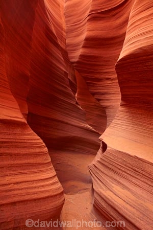 America;American-Southwest;Arizona;AZ;canyon;canyons;chasm;chasms;Colorado-Plateau;Colorado-Plateau-Province;curve;curves;eroded;erosion;geographic;geography;geological;geology;gorge;gorges;narrow-canyon;narrow-canyons;Navajo-Indian-Reservation;Navajo-Land;Navajo-Nation;Navajo-Reservation;Navajo-Sandstone;Page;Rattlesnake-Canyon;ravine;ravines;rock;rock-formation;rock-formations;rocks;Sandstone;slot-canyon;slot-canyons;South-west-United-States;South-west-US;South-west-USA;South-western-United-States;South-western-US;South-western-USA;Southwest-United-States;Southwest-US;Southwest-USA;Southwestern-United-States;Southwestern-US;Southwestern-USA;States;stone;the-Southwest;U.S.A;United-States;United-States-of-America;unusual-natural-feature;unusual-natural-features;USA;valley;valleys
