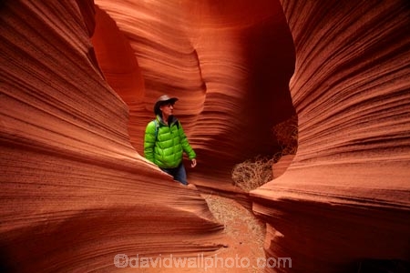 America;American-Southwest;Arizona;AZ;canyon;canyons;chasm;chasms;Colorado-Plateau;Colorado-Plateau-Province;curve;curves;eroded;erosion;geographic;geography;geological;geology;gorge;gorges;narrow-canyon;narrow-canyons;Navajo-Indian-Reservation;Navajo-Land;Navajo-Nation;Navajo-Reservation;Navajo-Sandstone;Page;people;person;Rattlesnake-Canyon;ravine;ravines;rock;rock-formation;rock-formations;rocks;Sandstone;slot-canyon;slot-canyons;South-west-United-States;South-west-US;South-west-USA;South-western-United-States;South-western-US;South-western-USA;Southwest-United-States;Southwest-US;Southwest-USA;Southwestern-United-States;Southwestern-US;Southwestern-USA;States;stone;the-Southwest;tourism;tourist;tourists;tumbleweed;tumbleweeds;U.S.A;United-States;United-States-of-America;unusual-natural-feature;unusual-natural-features;USA;valley;valleys;visitor;visitors