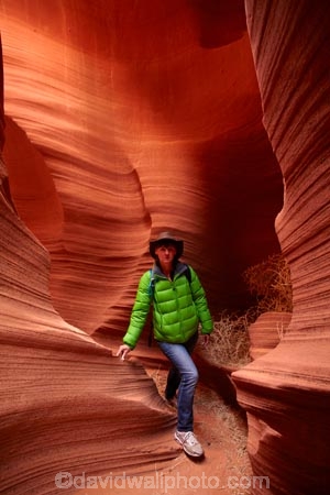 America;American-Southwest;Arizona;AZ;canyon;canyons;chasm;chasms;Colorado-Plateau;Colorado-Plateau-Province;curve;curves;eroded;erosion;geographic;geography;geological;geology;gorge;gorges;narrow-canyon;narrow-canyons;Navajo-Indian-Reservation;Navajo-Land;Navajo-Nation;Navajo-Reservation;Navajo-Sandstone;Page;people;person;Rattlesnake-Canyon;ravine;ravines;rock;rock-formation;rock-formations;rocks;Sandstone;slot-canyon;slot-canyons;South-west-United-States;South-west-US;South-west-USA;South-western-United-States;South-western-US;South-western-USA;Southwest-United-States;Southwest-US;Southwest-USA;Southwestern-United-States;Southwestern-US;Southwestern-USA;States;stone;the-Southwest;tourism;tourist;tourists;tumbleweed;tumbleweeds;U.S.A;United-States;United-States-of-America;unusual-natural-feature;unusual-natural-features;USA;valley;valleys;visitor;visitors