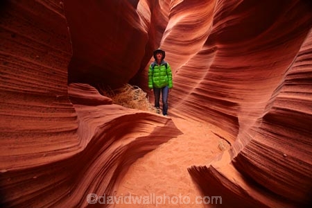 America;American-Southwest;Arizona;AZ;canyon;canyons;chasm;chasms;Colorado-Plateau;Colorado-Plateau-Province;curve;curves;eroded;erosion;geographic;geography;geological;geology;gorge;gorges;narrow-canyon;narrow-canyons;Navajo-Indian-Reservation;Navajo-Land;Navajo-Nation;Navajo-Reservation;Navajo-Sandstone;Page;people;person;Rattlesnake-Canyon;ravine;ravines;rock;rock-formation;rock-formations;rocks;Sandstone;slot-canyon;slot-canyons;South-west-United-States;South-west-US;South-west-USA;South-western-United-States;South-western-US;South-western-USA;Southwest-United-States;Southwest-US;Southwest-USA;Southwestern-United-States;Southwestern-US;Southwestern-USA;States;stone;the-Southwest;tourism;tourist;tourists;tumbleweed;tumbleweeds;U.S.A;United-States;United-States-of-America;unusual-natural-feature;unusual-natural-features;USA;valley;valleys;visitor;visitors