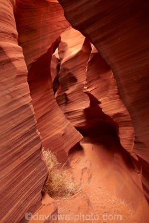America;American-Southwest;Arizona;AZ;canyon;canyons;chasm;chasms;Colorado-Plateau;Colorado-Plateau-Province;eroded;erosion;geographic;geography;geological;geology;gorge;gorges;narrow-canyon;narrow-canyons;Navajo-Indian-Reservation;Navajo-Land;Navajo-Nation;Navajo-Reservation;Navajo-Sandstone;Page;Rattlesnake-Canyon;ravine;ravines;rock;rock-formation;rock-formations;rocks;Sandstone;slot-canyon;slot-canyons;South-west-United-States;South-west-US;South-west-USA;South-western-United-States;South-western-US;South-western-USA;Southwest-United-States;Southwest-US;Southwest-USA;Southwestern-United-States;Southwestern-US;Southwestern-USA;States;stone;the-Southwest;tumbleweed;tumbleweeds;U.S.A;United-States;United-States-of-America;unusual-natural-feature;unusual-natural-features;USA;valley;valleys
