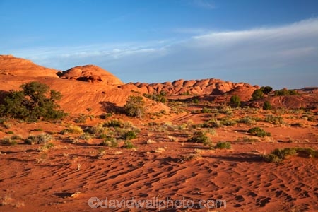 America;American-Southwest;Arizona;AZ;Colorado-Plateau;Colorado-Plateau-Province;dune;dunes;Monument-Valley;Monument-Valley-Navajo-Tribal-Park;Mystery-Valley;Navajo-Indian-Reservation;Navajo-Nation;Navajo-Nation-Reservation;Navajo-Reservation;Oljato;Oljato-Monument-Valley;Oljato_Monument-Valley;ripple;ripples;sand;sand-dune;sand-dunes;sand-hill;sand-hills;sand-ripple;sand-ripples;sand_dune;sand_dunes;sand_hill;sand_hills;sanddune;sanddunes;sandhill;sandhills;sandy;South-west-United-States;South-west-US;South-west-USA;South-western-United-States;South-western-US;South-western-USA;Southwest-United-States;Southwest-US;Southwest-USA;Southwestern-United-States;Southwestern-US;Southwestern-USA;States;the-Southwest;TsÃ©-Bii-Ndzisgaii;U.S.A;United-States;United-States-of-America;USA;UT;Utah;valley-of-the-rocks