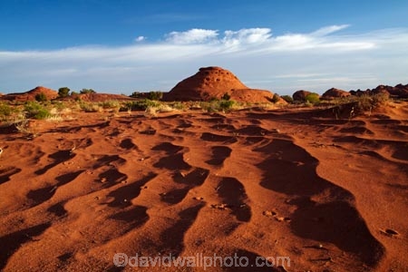 America;American-Southwest;Arizona;AZ;Colorado-Plateau;Colorado-Plateau-Province;dune;dunes;geological;geology;Monument-Valley;Monument-Valley-Navajo-Tribal-Park;Mystery-Valley;natural-geological-formation;natural-geological-formations;Navajo-Indian-Reservation;Navajo-Nation;Navajo-Nation-Reservation;Navajo-Reservation;Oljato;Oljato-Monument-Valley;Oljato_Monument-Valley;ripple;ripples;rock;rock-formation;rock-formations;rock-outcrop;rock-outcrops;rocks;sand;sand-dune;sand-dunes;sand-hill;sand-hills;sand-ripple;sand-ripples;sand_dune;sand_dunes;sand_hill;sand_hills;sanddune;sanddunes;sandhill;sandhills;sandy;South-west-United-States;South-west-US;South-west-USA;South-western-United-States;South-western-US;South-western-USA;Southwest-United-States;Southwest-US;Southwest-USA;Southwestern-United-States;Southwestern-US;Southwestern-USA;States;stone;the-Southwest;Tsé-Bii-Ndzisgaii;U.S.A;United-States;United-States-of-America;unusual-natural-feature;unusual-natural-features;unusual-natural-formation;unusual-natural-formations;USA;UT;Utah;valley-of-the-rocks;wilderness;wilderness-area;wilderness-areas