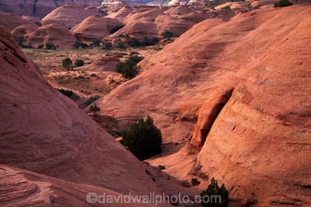 America;American-Southwest;Arizona;AZ;Colorado-Plateau;Colorado-Plateau-Province;geological;geology;Monument-Valley;Monument-Valley-Navajo-Tribal-Park;Mystery-Valley;natural-geological-formation;natural-geological-formations;Navajo-Indian-Reservation;Navajo-Nation;Navajo-Nation-Reservation;Navajo-Reservation;Oljato;Oljato-Monument-Valley;Oljato_Monument-Valley;rock;rock-formation;rock-formations;rock-outcrop;rock-outcrops;rocks;South-west-United-States;South-west-US;South-west-USA;South-western-United-States;South-western-US;South-western-USA;Southwest-United-States;Southwest-US;Southwest-USA;Southwestern-United-States;Southwestern-US;Southwestern-USA;States;stone;the-Southwest;Tsé-Bii-Ndzisgaii;U.S.A;United-States;United-States-of-America;unusual-natural-feature;unusual-natural-features;unusual-natural-formation;unusual-natural-formations;USA;UT;Utah;valley-of-the-rocks;wilderness;wilderness-area;wilderness-areas