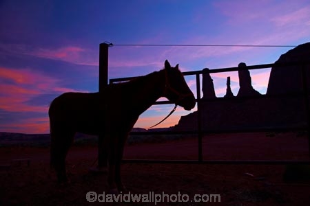 America;American-Southwest;Arizona;AZ;butte;buttes;Colorado-Plateau;Colorado-Plateau-Province;dusk;equestrian;evening;geological;geology;horse;horses;Monument-Valley;Monument-Valley-Navajo-Tribal-Park;natural-geological-formation;natural-geological-formations;natural-tower;natural-towers;Navajo-Indian-Reservation;Navajo-Nation;Navajo-Nation-Reservation;Navajo-Reservation;night;night_time;nightfall;Oljato;Oljato-Monument-Valley;Oljato_Monument-Valley;rock;rock-chimney;rock-chimneys;rock-column;rock-columns;rock-formation;rock-formations;rock-outcrop;rock-outcrops;rock-pillar;rock-pillars;rock-pinnacle;rock-pinnacles;rock-spire;rock-spires;rock-tor;rock-torr;rock-torrs;rock-tors;rock-tower;rock-towers;rocks;silhouette;silhouettes;South-west-United-States;South-west-US;South-west-USA;South-western-United-States;South-western-US;South-western-USA;Southwest-United-States;Southwest-US;Southwest-USA;Southwestern-United-States;Southwestern-US;Southwestern-USA;States;stone;sunset;sunsets;the-Southwest;Three-Sisters-pinnacles;Three-Sisters-rock-formations;Three-Sisters-spires;TsÃ©-Bii-Ndzisgaii;twilight;U.S.A;United-States;United-States-of-America;unusual-natural-feature;unusual-natural-features;unusual-natural-formation;unusual-natural-formations;USA;UT;Utah;valley-of-the-rocks;wilderness;wilderness-area;wilderness-areas